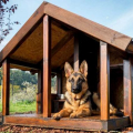 Budka pro psa: rozměry, izolace, fáze práce, zajímavé nápady na fotografii a videu