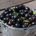 Černý rybíz s cukrem na zimu bez vaření + proporce a recept s malinami