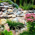 Rockery - podrobný popis výběru designu a funkcí aplikace v zahradě a na místě (145 fotografií)