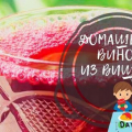 Víno z cherry doma - 6 jednoduché krok za krokem recepty