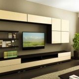 70 Moderní nástěnné skluzavky v obývacím pokoji: nové položky s fotografiemi