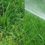 Automatický útlak s vlastními rukama: schémata + instalace zařízení