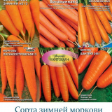 Příznivé dny pro setí mrkve pod zimou v roce 2021