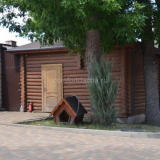 Booth pro psy v zemi přítelkyně