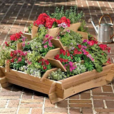 Okrasné rostliny: 125 fotografií nejlepších druhů rostlin a jejich pěstování v krajinném designu