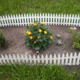 Dekorativní okraj: co to je, k čemu se používá a jak jej správně aplikovat v krajinářském designu (130 fotografií a videí)