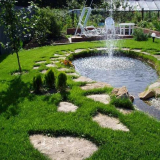 Dekorativní rybník - podrobný popis budovy, designu a dekorace nádrže (125 fotografií)