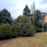 Jak udělat terénní úpravy místa v blízkosti venkovského domu vlastníma rukama