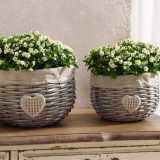 Cache-pot: co to je, rozdíl od květináče, odrůdy + účel