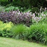 Záhon trvalek pro začátečníky