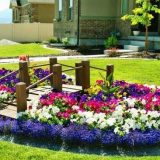 Diy květinové záhony a květinové záhony - nápady na design a možnosti použití květinové zahrady vlastníma rukama (95 fotografií)