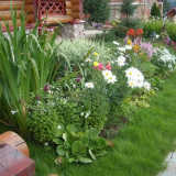 Krásný design květinových záhonů a květinových záhonů