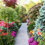 Krásné záhony z trvalých květin: ready-made schémata