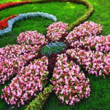 Krásné záhony v zemi to udělat sami