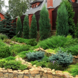 Krajina design pozemku u soukromého domu s jehličnatými rostlinami