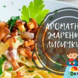 Lišky smažené s cibulí: 6 receptů na vaření lišek