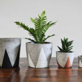 Nejlepší květináče: nápady pro výběr a umístění květináčů a květináčů (110 fotografií)