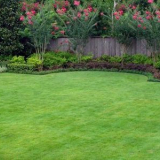 Nejlepší trávníky pro výsadbu v různých podmínkách!