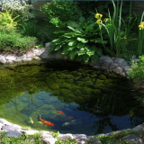 Nejlepší doporučení pro uspořádání umělé nádrže na místě