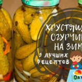 Nakládané okurky na zimu - 9 receptů na křupavé okurky ve sklenicíc...