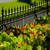 Oplocení pro květiny a postele: 70+ luxusní nápady, které budou převést vaši zahradu