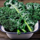 Popis a charakteristika kapusty