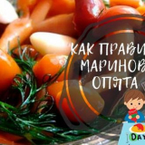 Nakládané houby na zimu - 7 receptů na vaření