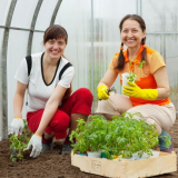 Skleník to udělat sami