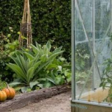 Příprava skleníků pro zimu: důležité kroky zpracování skleníku