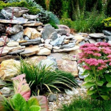 Rockery - podrobný popis výběru designu a funkcí aplikace v zahradě a na místě (145 fotografií)