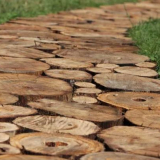 Zahradní tratě: 130 fotografií a video popis nejlepších nápadů uspořádání pro různé styly