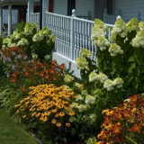 Schémata květinových záhonů a květinových záhonů v zemi