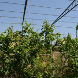 Handler pro hrozny: kresby, výrobní postup