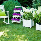 Pozemek o rozloze 6 akrů: pravidla a konstrukční prvky. Tajemství a triky designérů (135 fotografií a videí)