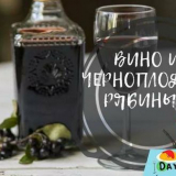 Aronia víno - jednoduché recepty doma