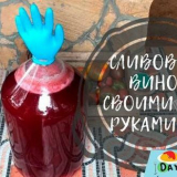 Švestkové víno doma: top 7 jednoduchých receptů krok za krokem