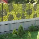 Výška plotu mezi pozemky dle platné legislativy: jak má být