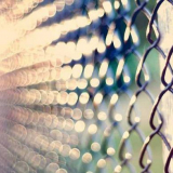 Plot z mřížky výzvy s vlastními rukama - budování, instalace a péče...