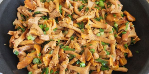 3 Recepty na vaření s fotografiemi, smažené lišky na zimu