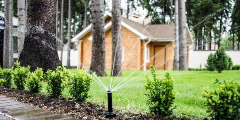 Automatické parkování v zemi: typy automatického zavlažování a všechny jemnosti správné instalace systému