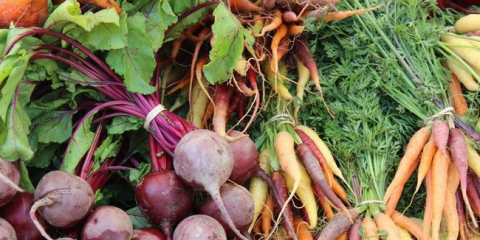 Příznivé dny pro sklizeň řepy a mrkve v roce 2021