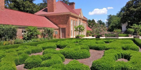 Co je květinový záhon, typy květinových záhonů v krajinném designu se jmény