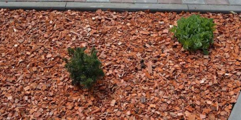 Dekorativní štěpky - druhy, tipy pro výběr a použití dekorativní štěpky v krajinářském designu