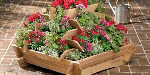 Okrasné rostliny: 125 fotografií nejlepších druhů rostlin a jejich pěstování v krajinném designu