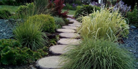 Okrasné trávy a obiloviny pro zahradní dekorace