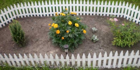 Dekorativní okraj: co to je, k čemu se používá a jak jej správně aplikovat v krajinářském designu (130 fotografií a videí)