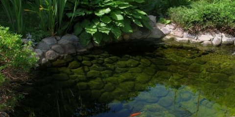 Dekorativní rybník v zemi: druhy, design, péče, stavební instrukce