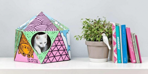 Vyrábíme dům pro kočku vlastníma rukama: výběr materiálů a mistrovské kurzy krok za krokem