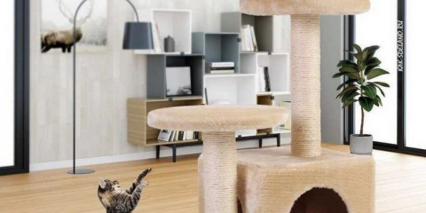 Vyrábíme dům pro kočku vlastníma rukama