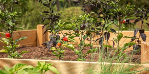 Diy dřevěné zahradní postele